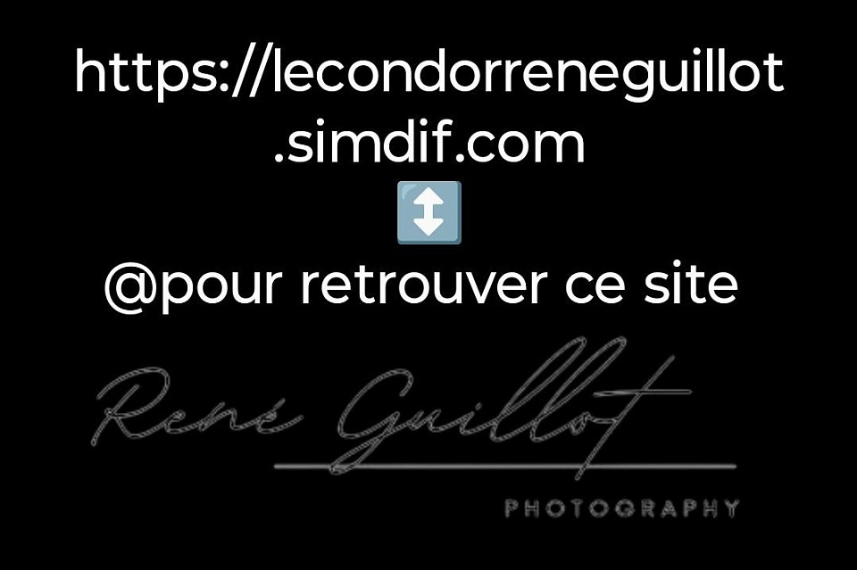 Adresse web de ce site internet
